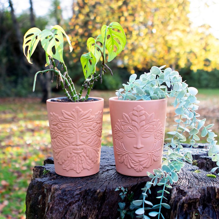 16cm Green Goddess Terracotta Plant Pot Sold by Funny Store