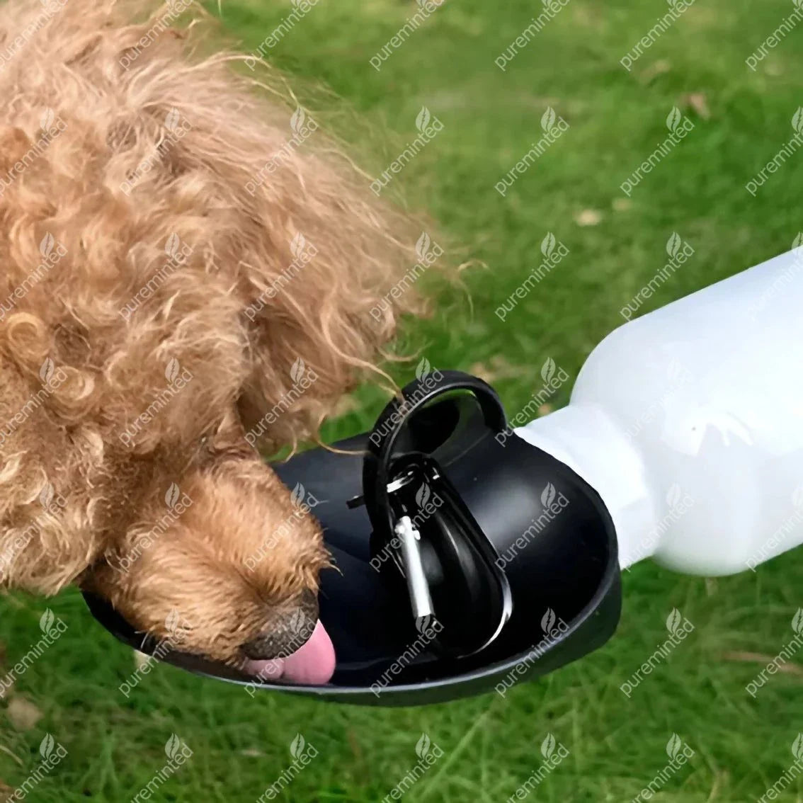 No.1 Dug Da - Water Bottle