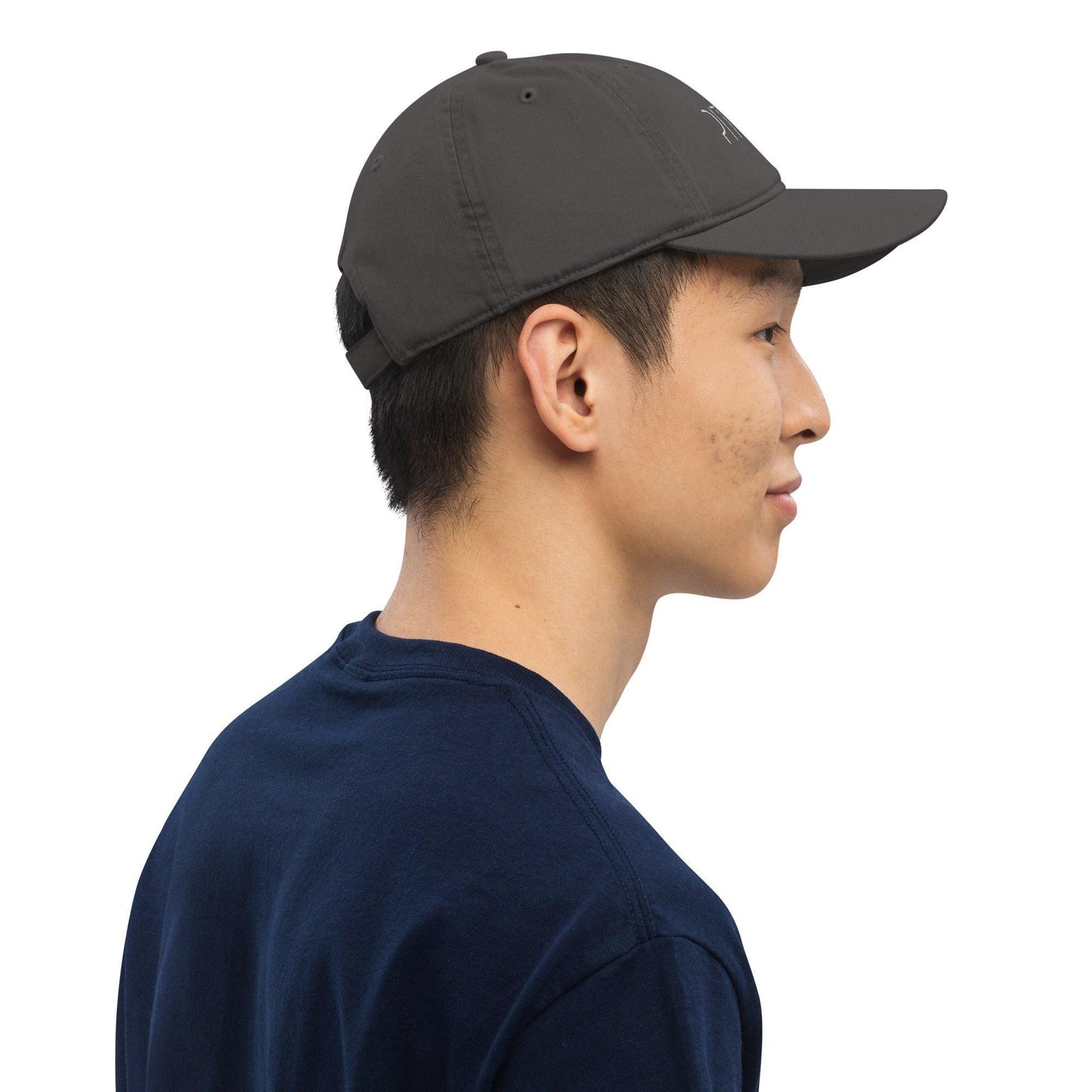Pitod Baseball Cap