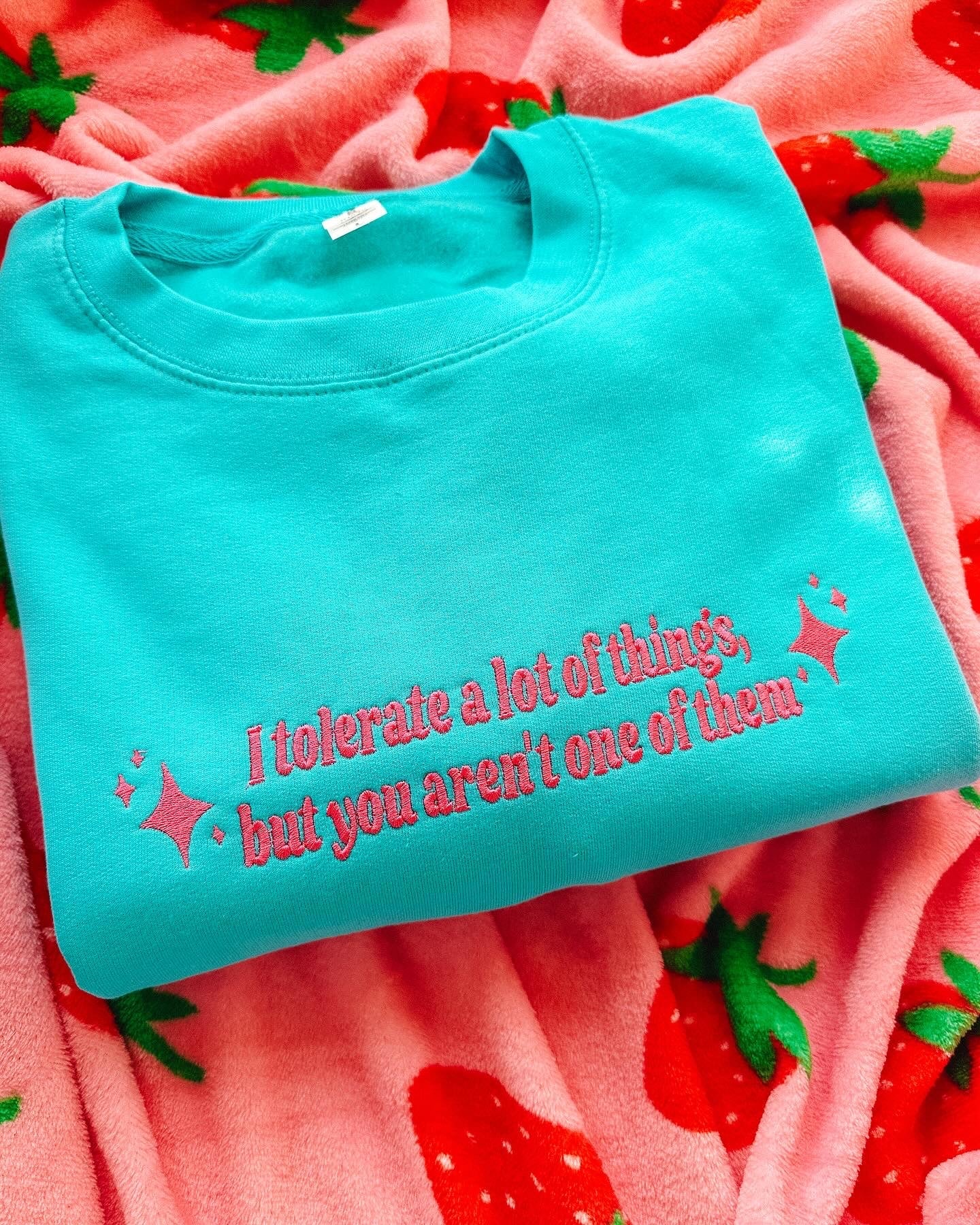 I Tolerate A Lot Of Things, But You Aren't One Of Them embroidered crewneck sweatshirt