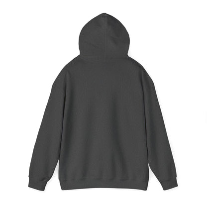 'Just for the Record' Men's Hoodie
