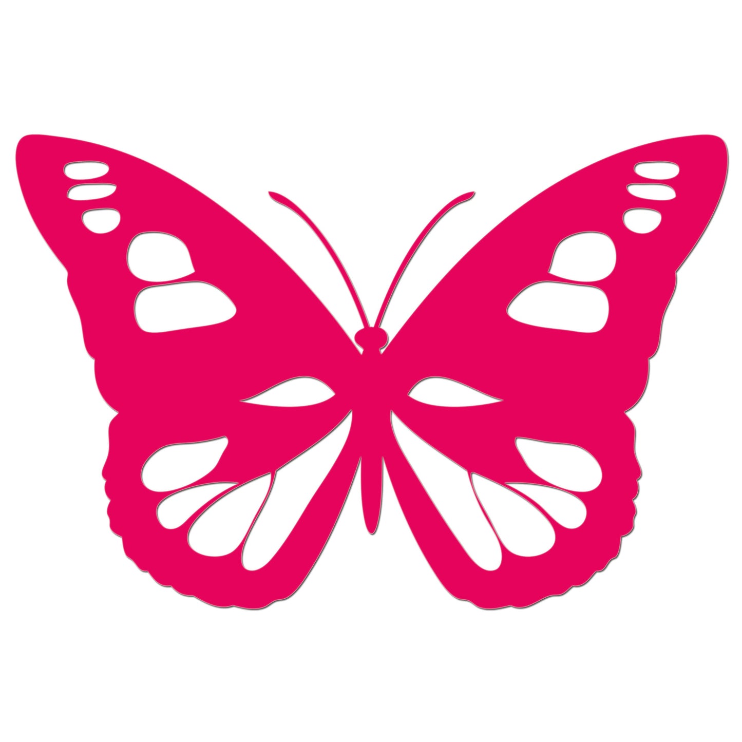 Butterfly Iron On HTV Transfer