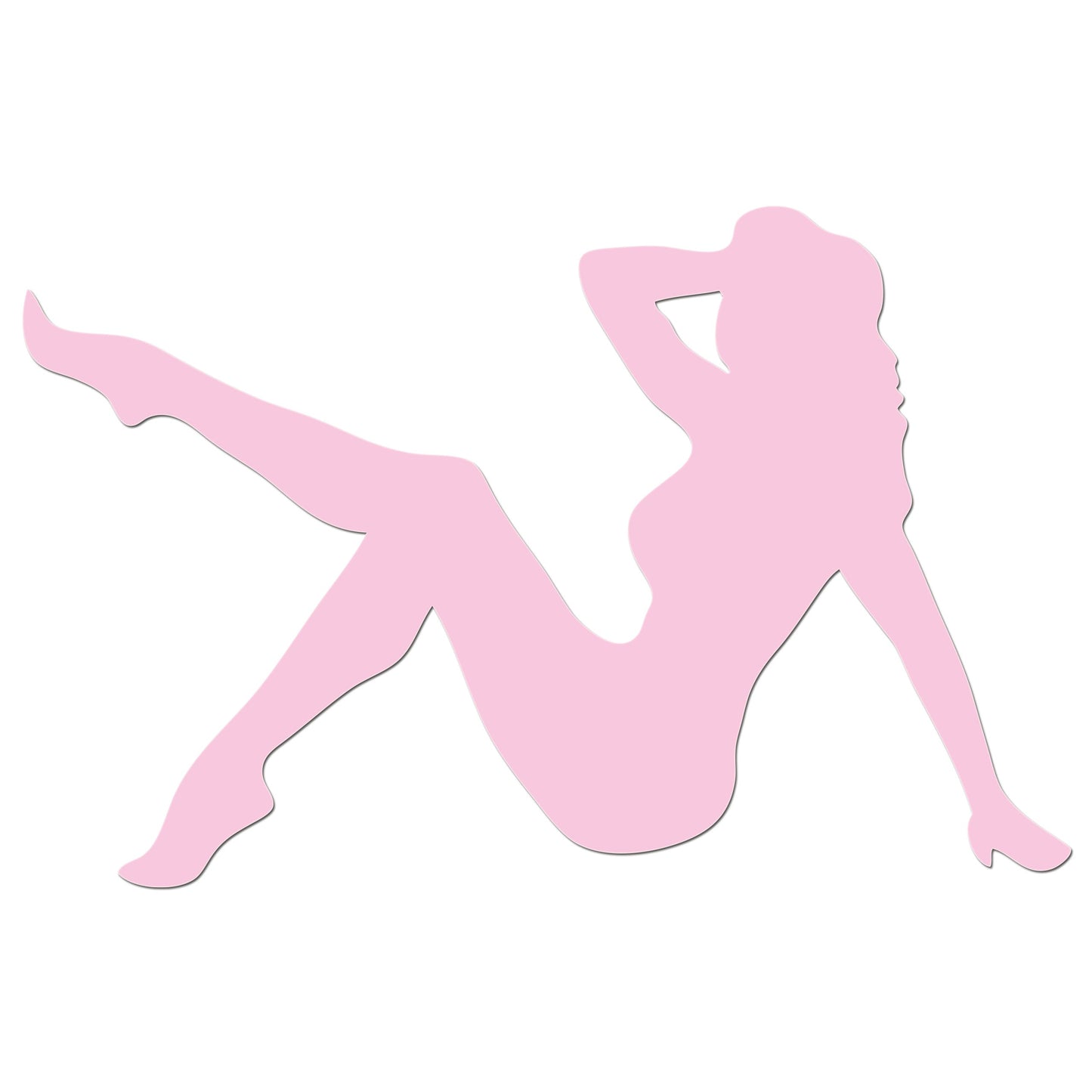 Pin Up Girl Iron On HTV Transfer