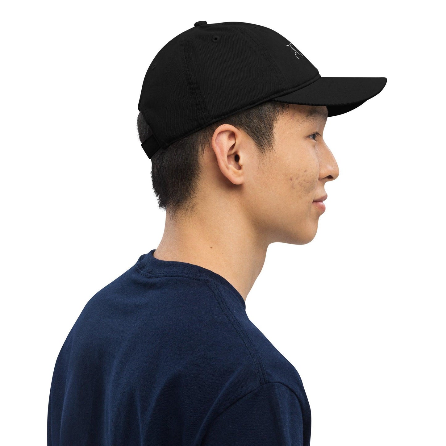 Pitod Baseball Cap
